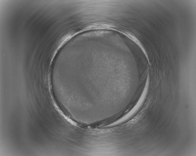 X0000061140997200512022242