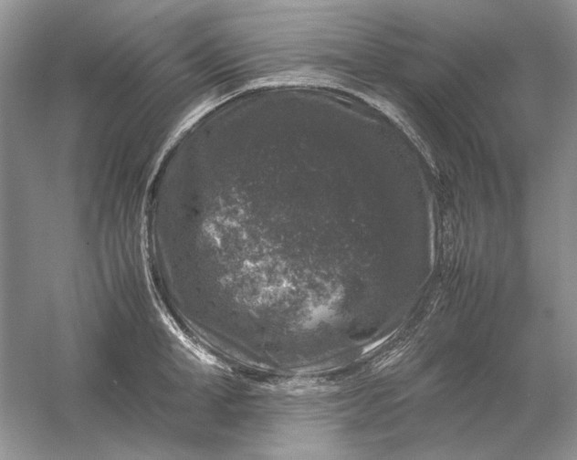 X0000061140998200512022242