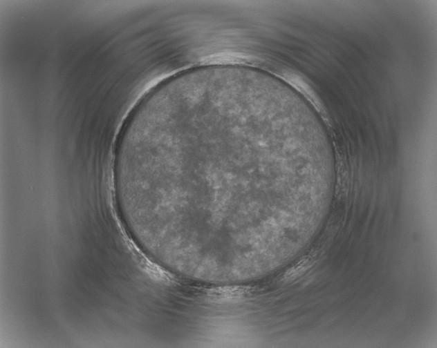 X0000061141000200512022242