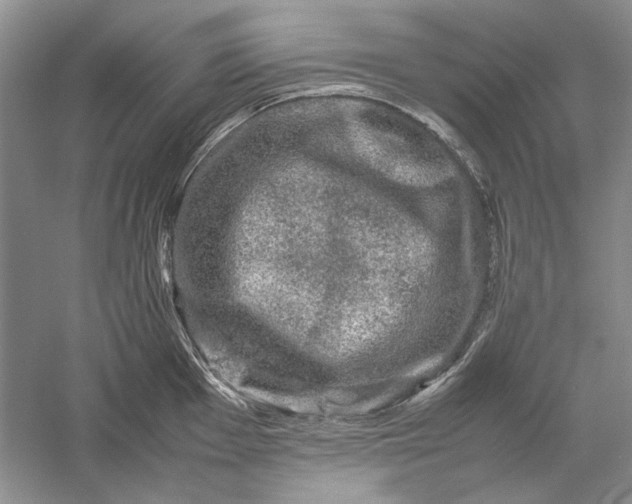 X0000061141001200512022242