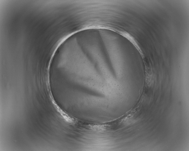 X0000061141004200512022242