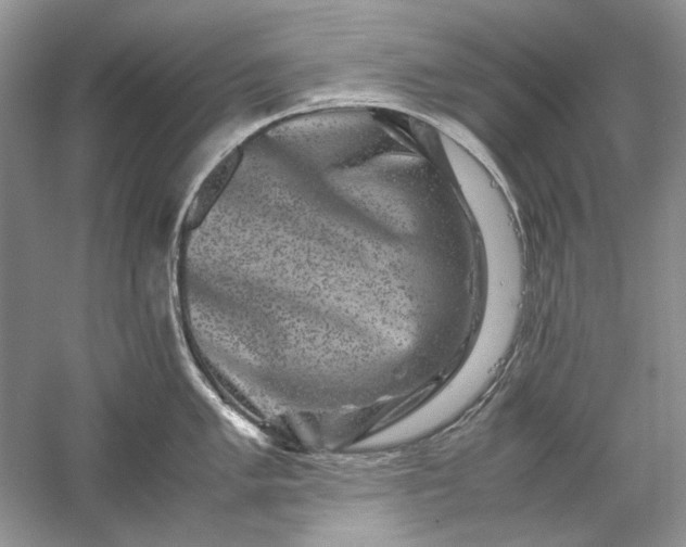 X0000061141005200512022242