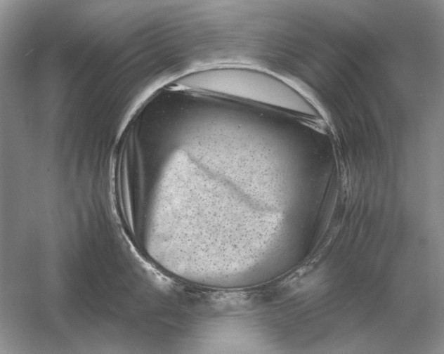 X0000061141006200512022242