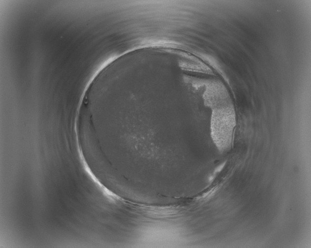 X0000061141007200512022242