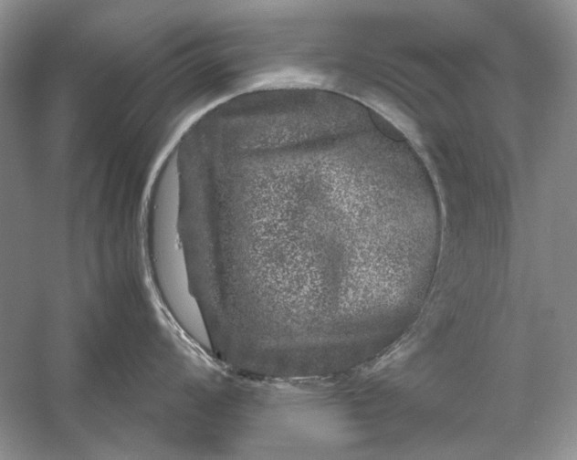 X0000061141008200512022242