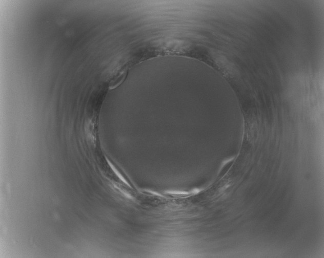 X0000061141010200512022241