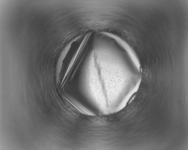 X0000061141012200512022241