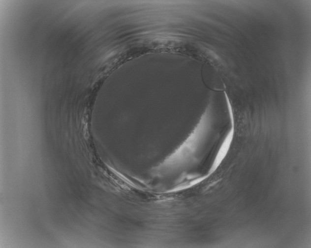 X0000061141013200512022241