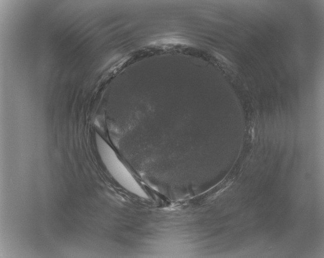 X0000061141014200512022241