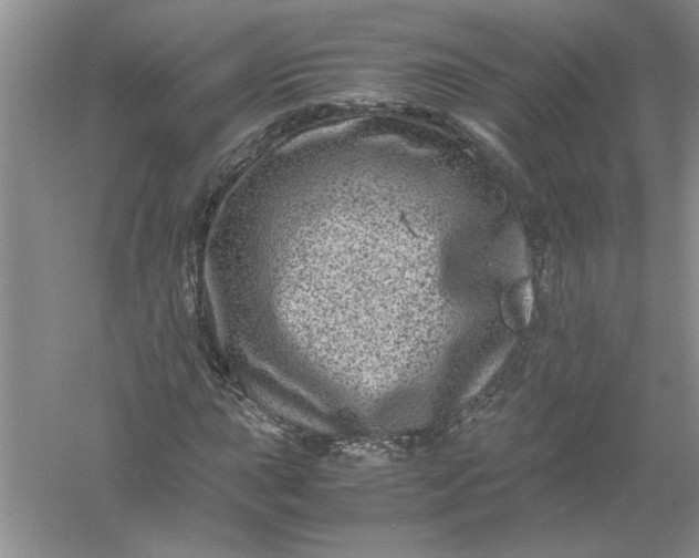 X0000061141015200512022242