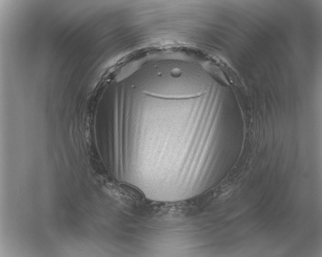 X0000061141016200512022242