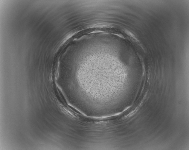 X0000061141017200512022242