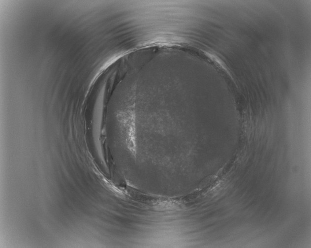 X0000061141018200512022242