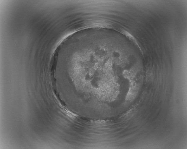 X0000061141019200512022242