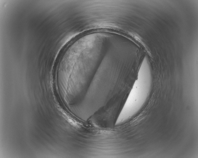 X0000061141024200512022242