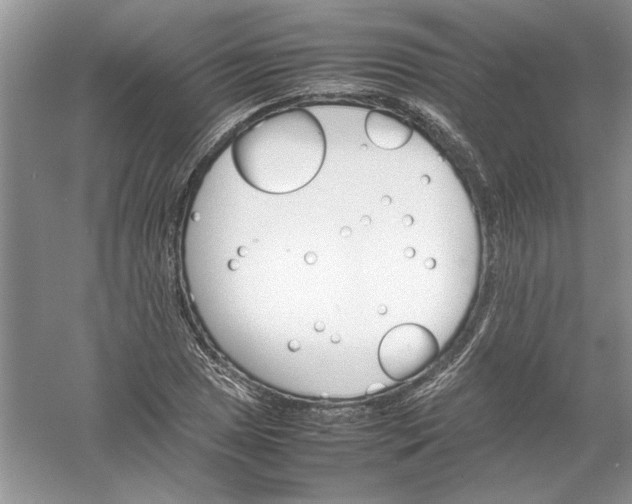 X0000061141025200512022242