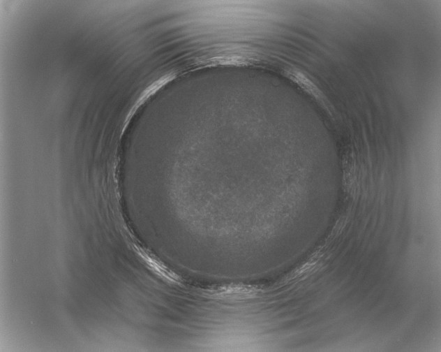 X0000061141026200512022242