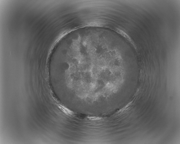 X0000061141027200512022242