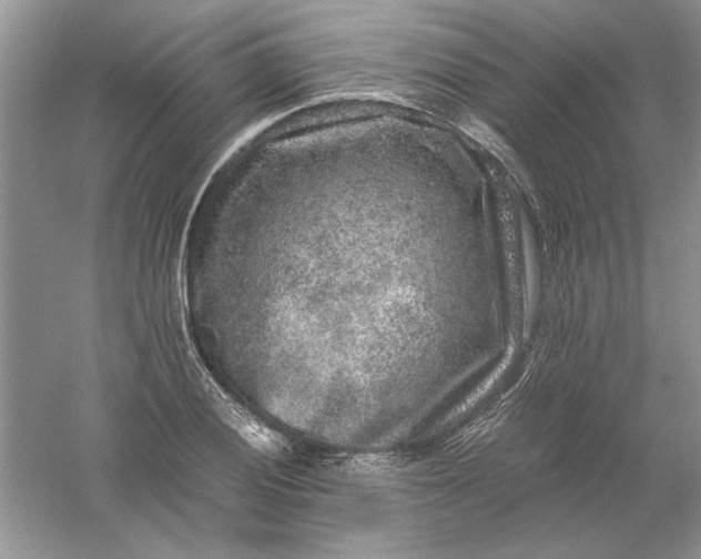 X0000061141028200512022242