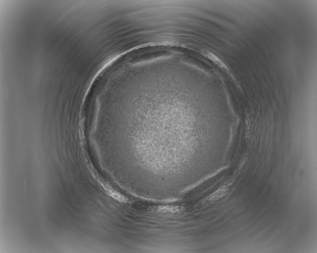 X0000061141029200512022242