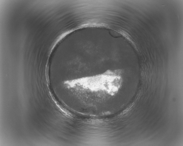 X0000061141030200512022242