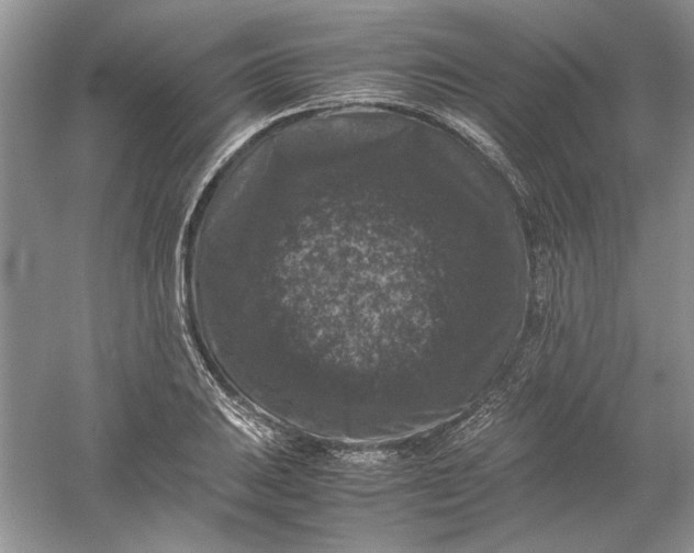 X0000061141031200512022242