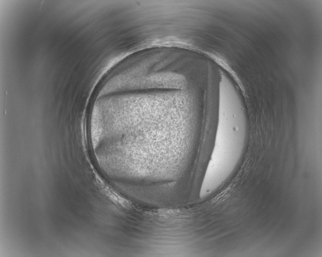 X0000061141032200512022242