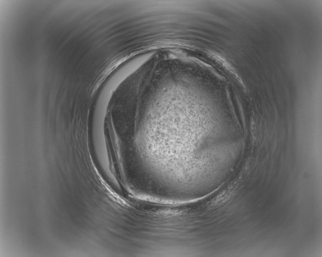 X0000061141033200512022242