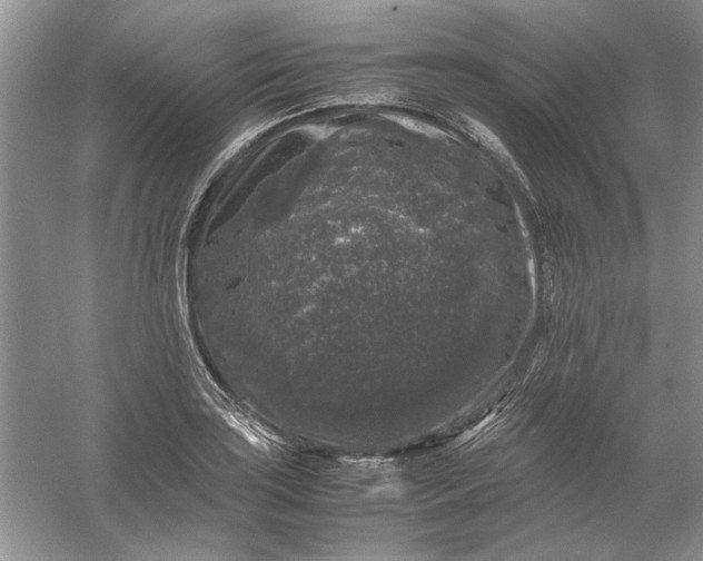 X0000061141035200512022242