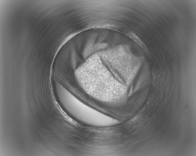 X0000061141036200512022242