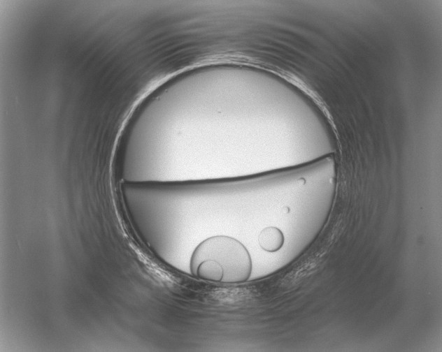 X0000061141037200512022242