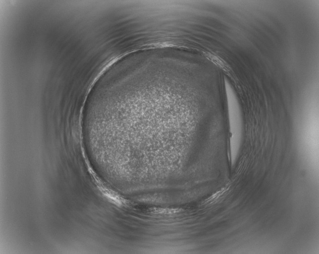 X0000061141039200512022242