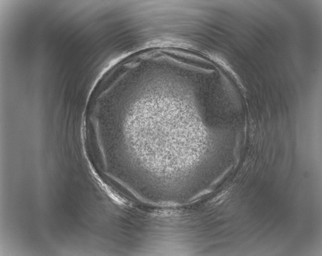 X0000061141040200512022242