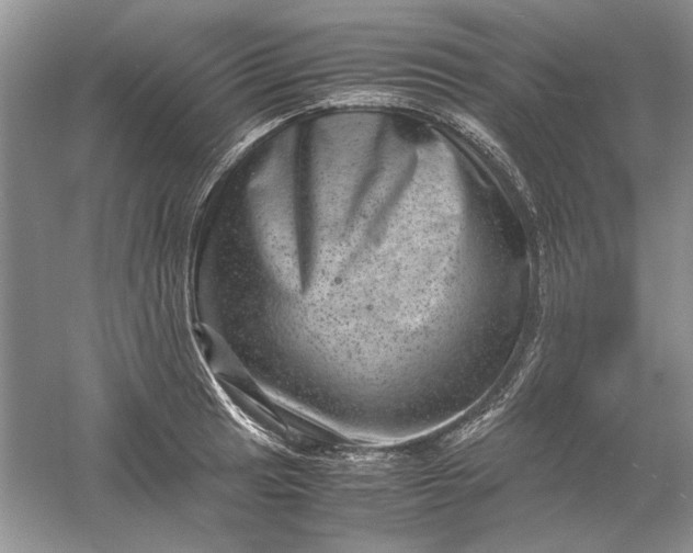 X0000061141041200512022242