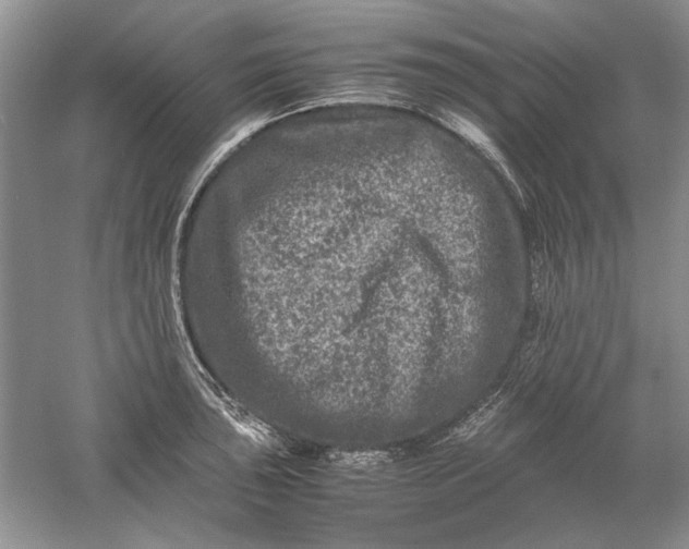 X0000061141043200512022242