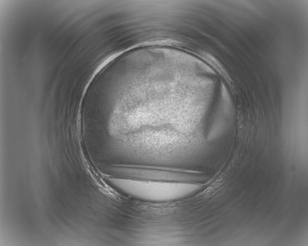 X0000061141044200512022242