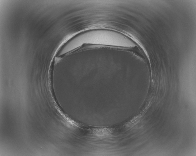 X0000061141045200512022242