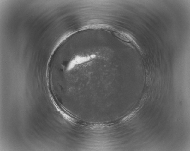 X0000061141046200512022242