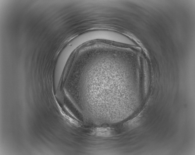 X0000061141049200512022242