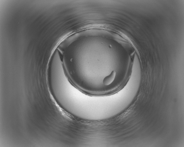 X0000061141050200512022242