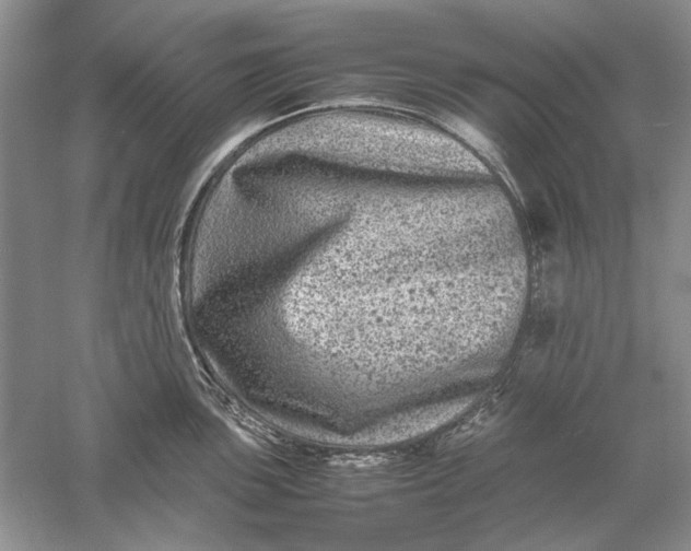 X0000061141051200512022242