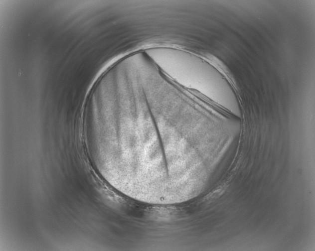 X0000061141052200512022242