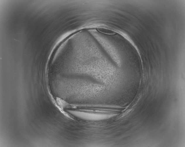 X0000061141053200512022242