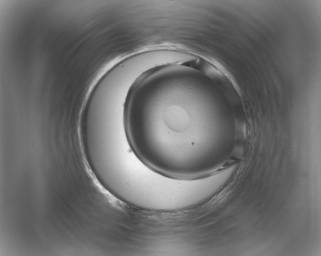 X0000061141054200512022242