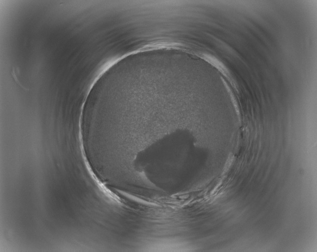 X0000061141055200512022242