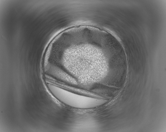 X0000061141056200512022242