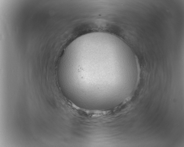 X0000061141057200512022241