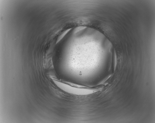 X0000061141058200512022241