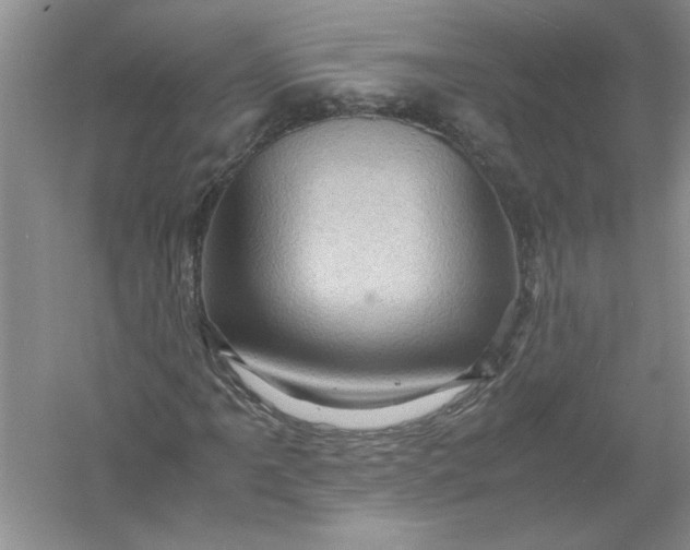 X0000061141061200512022241