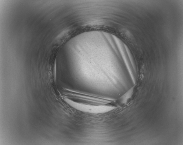 X0000061141062200512022241